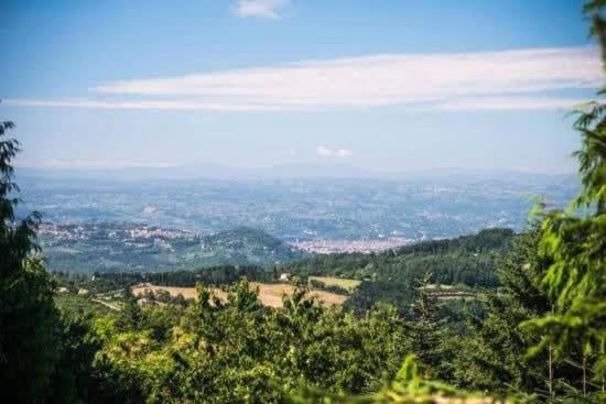 CASA CECCONI (ON THE HILLS OF FLORENCE) photo 3