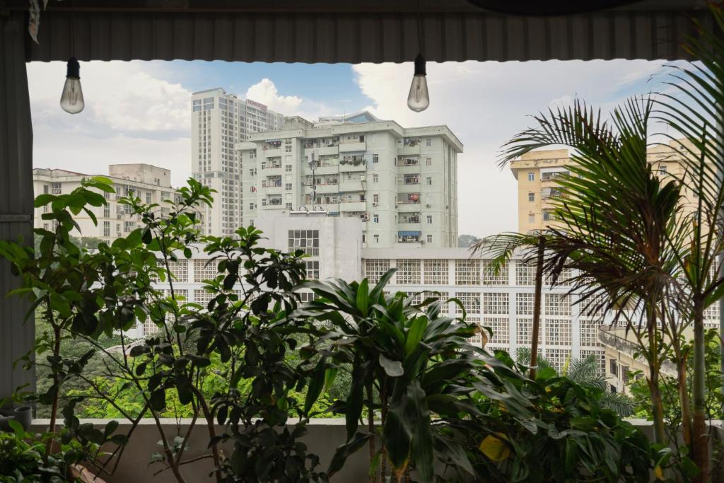 Tofu's House - A place called Home