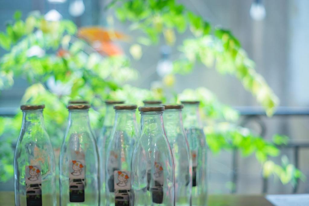 Tofu's House - A place called Home