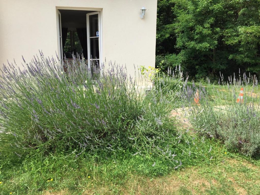 LE CLOS DU GOLF photo 4