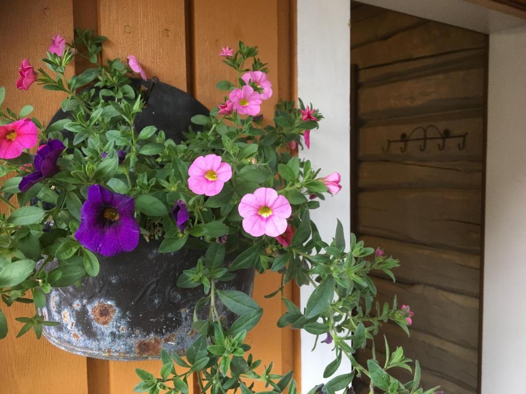 Bakarstuo, Utpå Neset photo 4