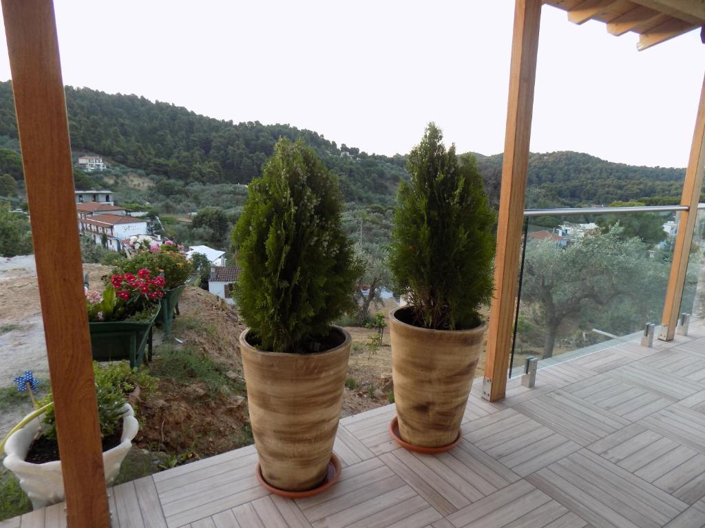Melina Skiathos photo 4