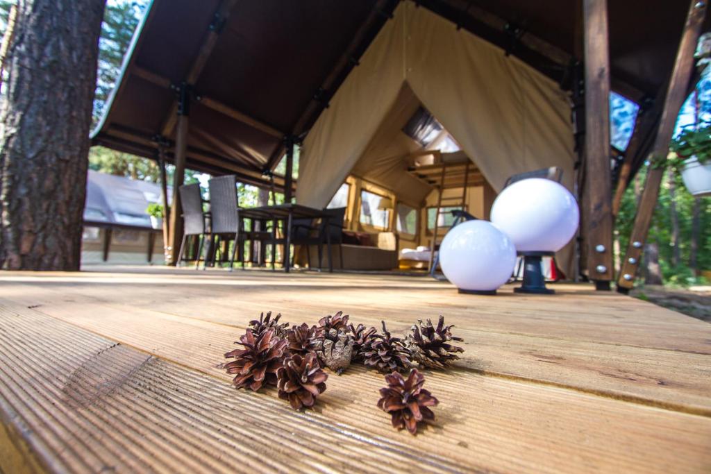 Shishkinn Resort&Spa photo 3