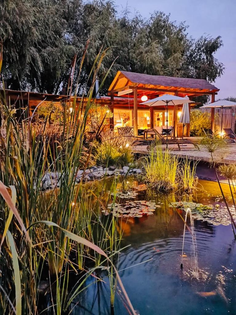 Barrica Lodge photo 1