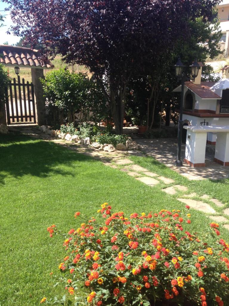Domus Dams B&B photo 4