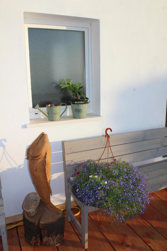 Mary's Garden photo 4