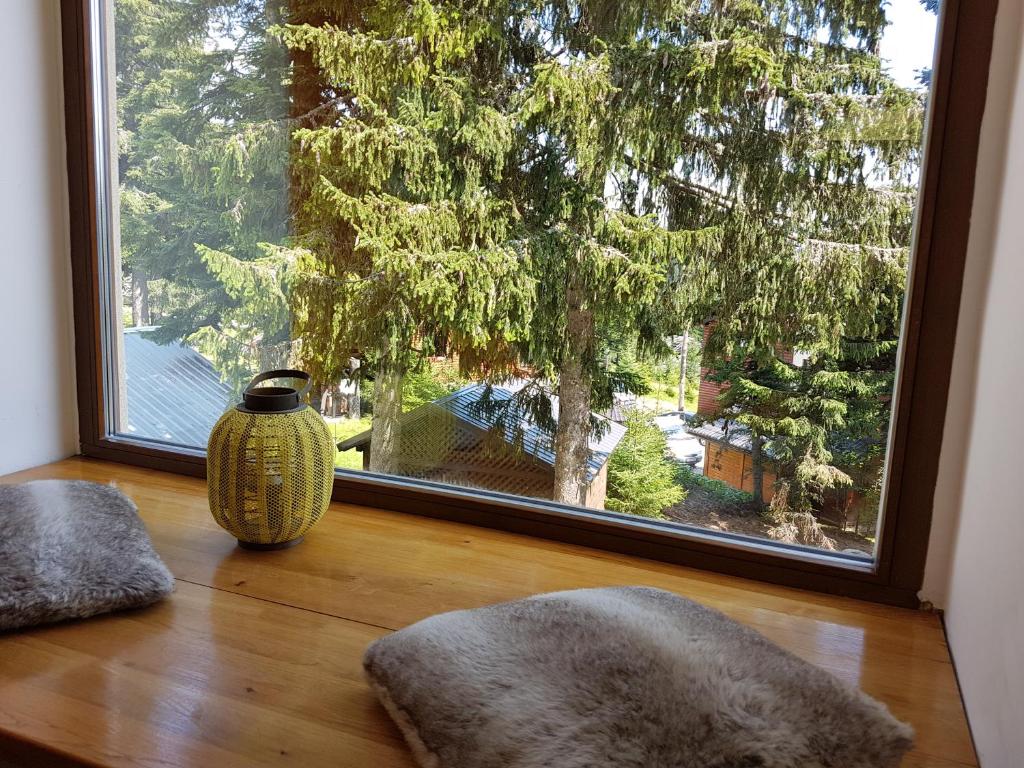 Sunshine Dreams Villa Jahorina photo 4