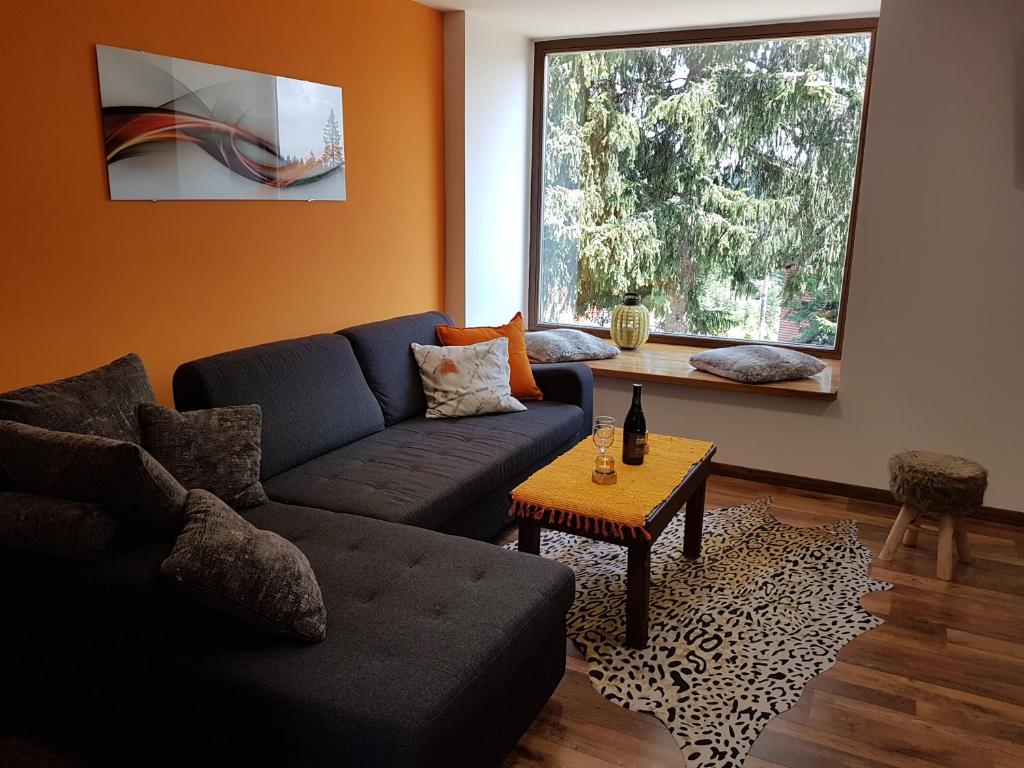 Sunshine Dreams Villa Jahorina photo 3