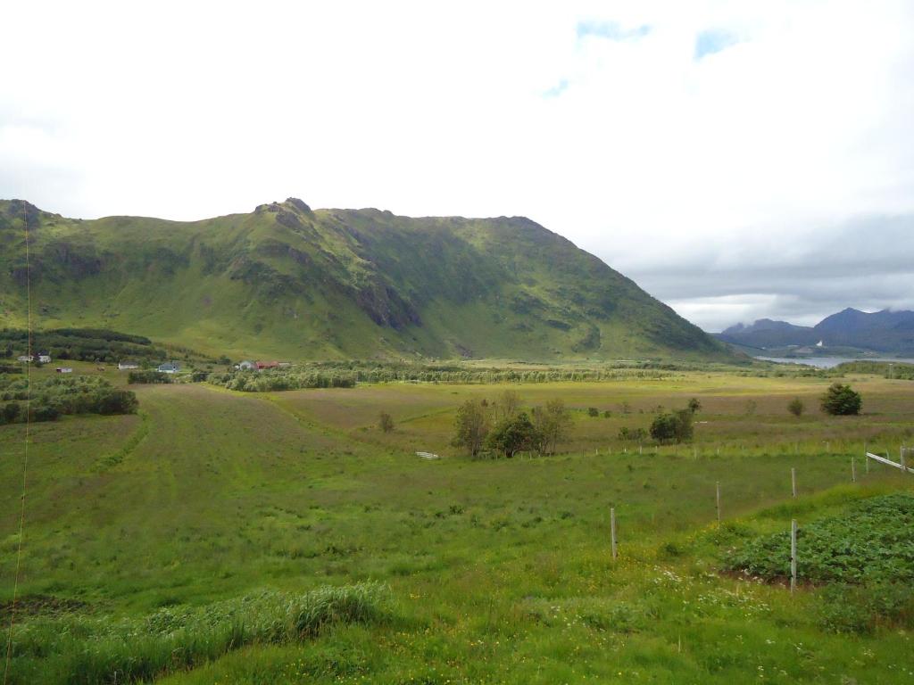 Peaceful Farm photo 2
