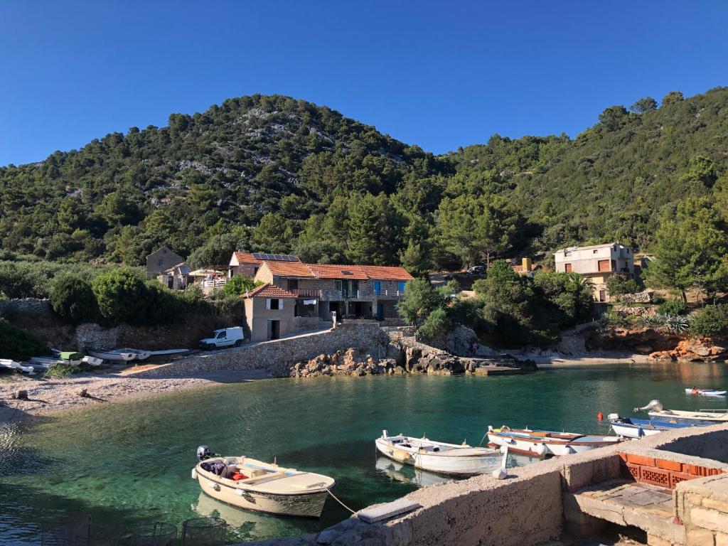 The White house robinson Gdinj Hvar photo 3