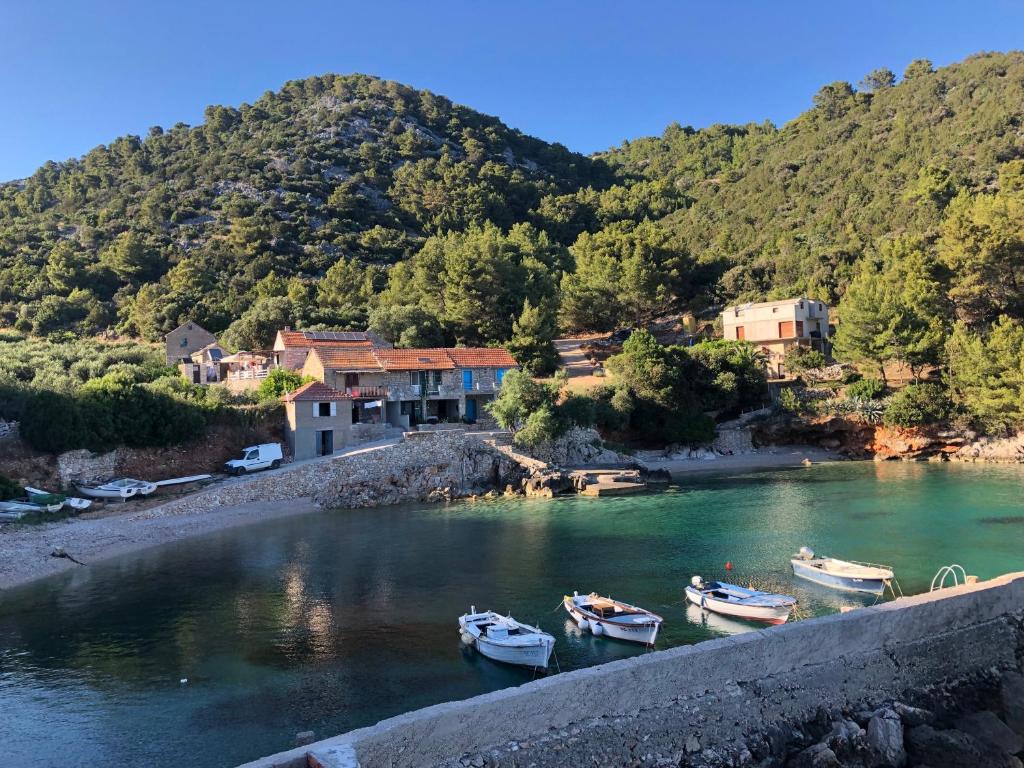 The White house robinson Gdinj Hvar photo 4