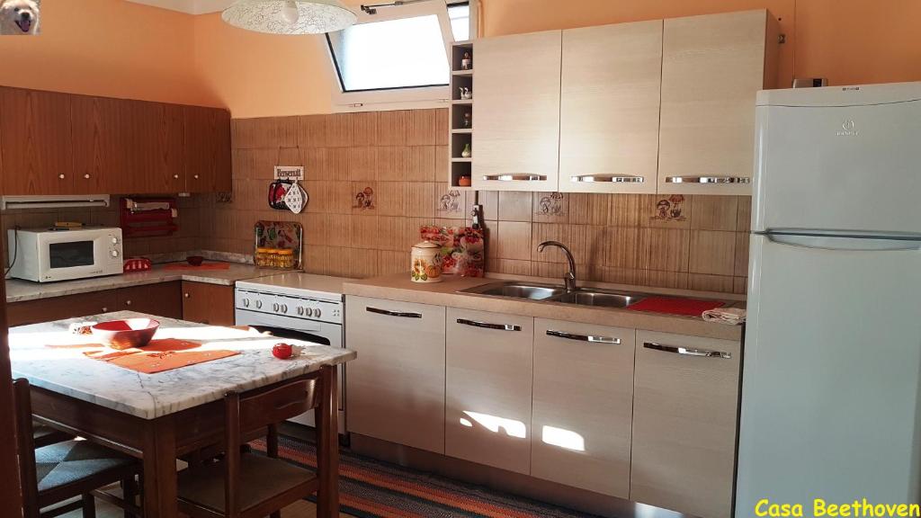 La casa di Beethoven photo 3