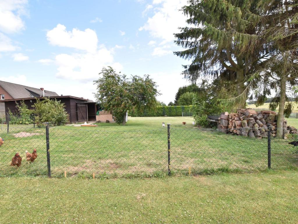 Modern Bungalow in Damshagen in Terrace, Garden and Barbecue photo 4