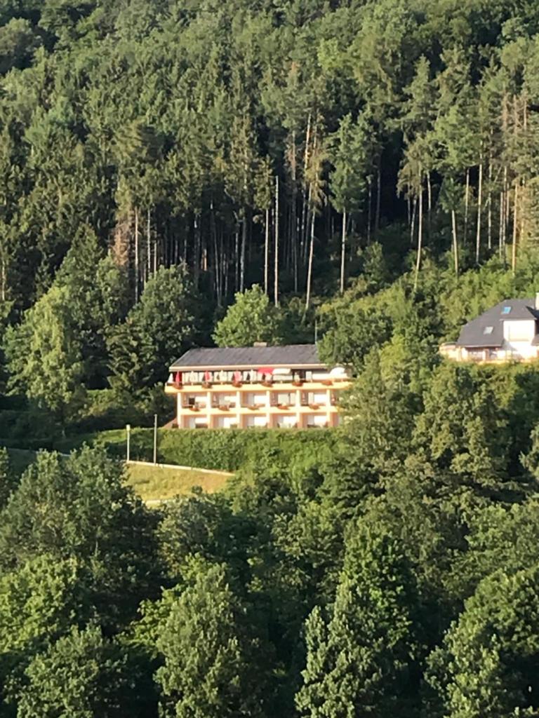 Hotel Berghof photo 3