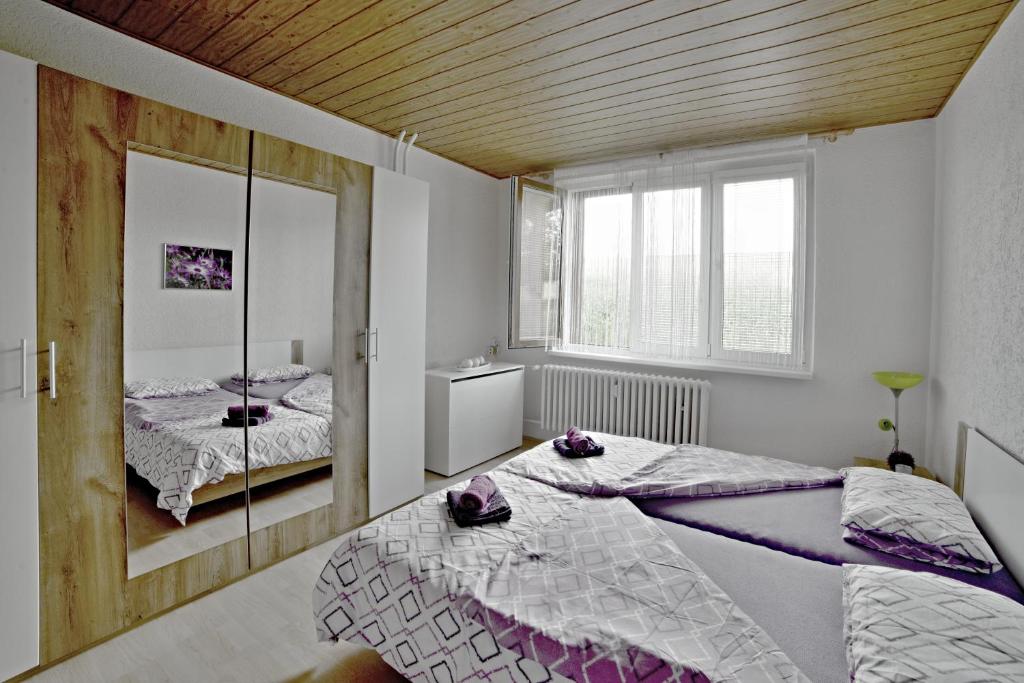 apartmány 2+1 u Klínovce photo 4