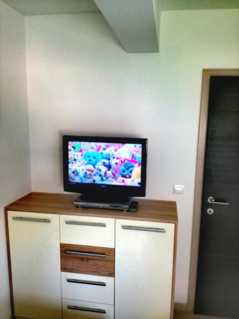 Beach apartment in Mandre photo 4