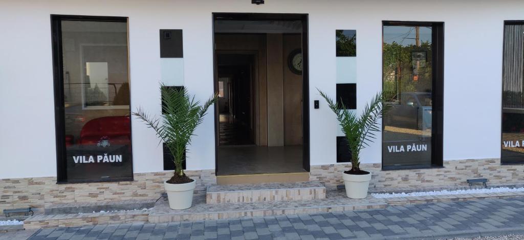Vila Paun photo 1