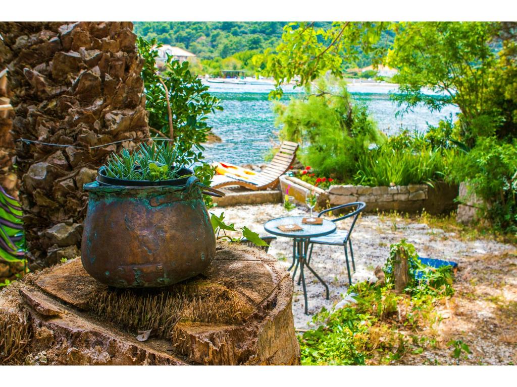Vacation Home Andrija photo 1