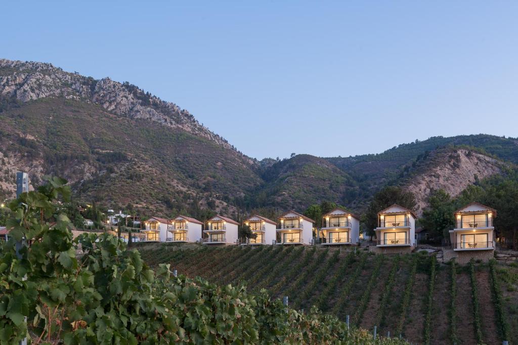 Gillham Vineyard Hotel photo 4