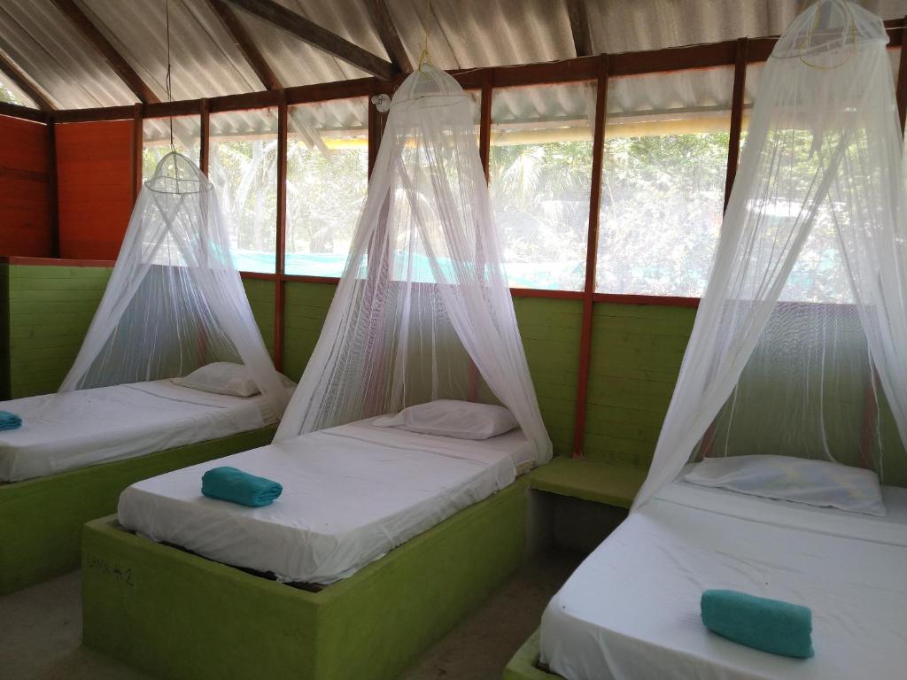 Eco Hotel Las Palmeras photo 3