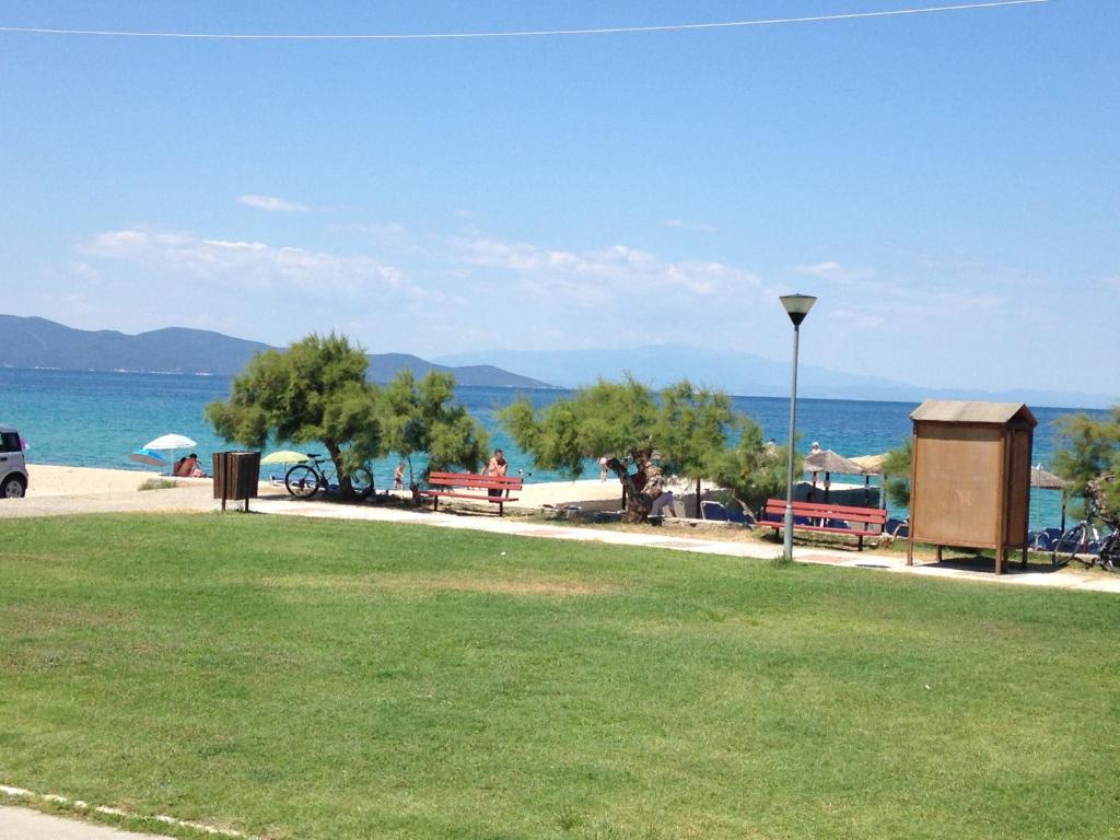 Summer Den photo 3