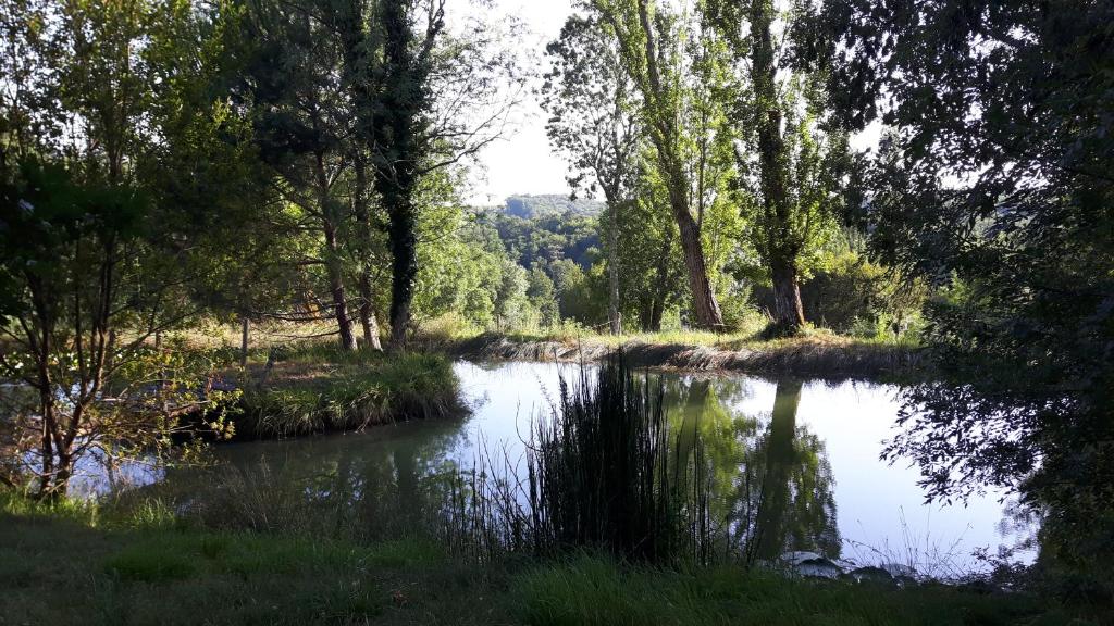 La Jouissiere photo 2