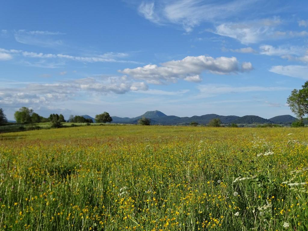 LOGIS LAS CROZAS La Cocotte photo 4