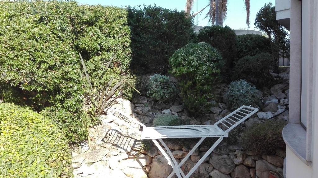 Il Giardino di Silvia photo 3
