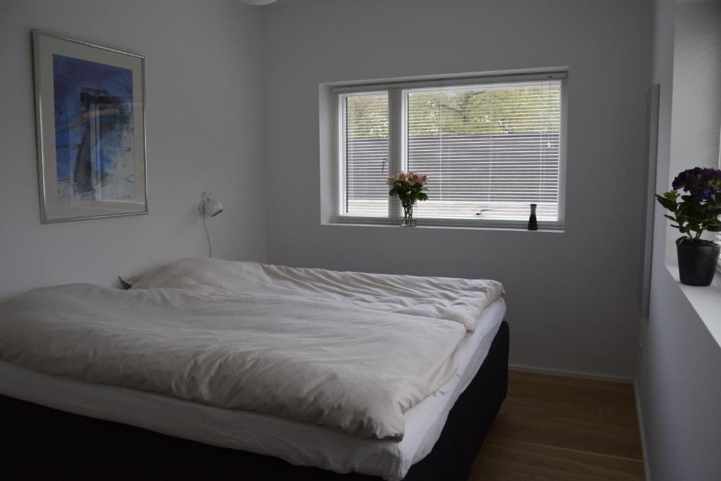 Fredensholm Annex photo 1