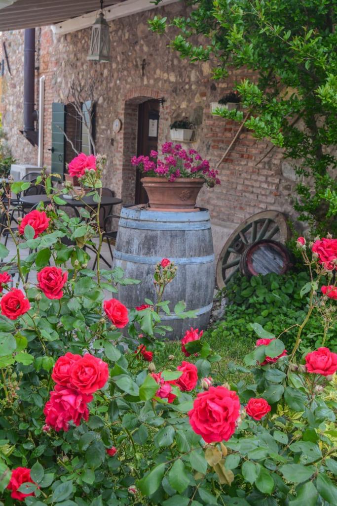 B&B il mio Casale photo 1