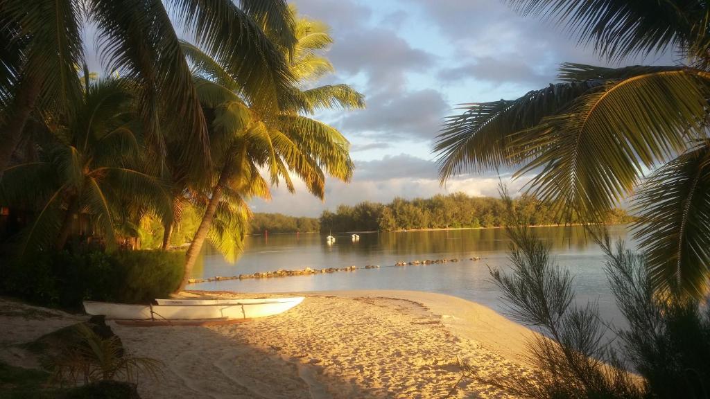 La Pirogue chez l'Happy qui chante photo 4