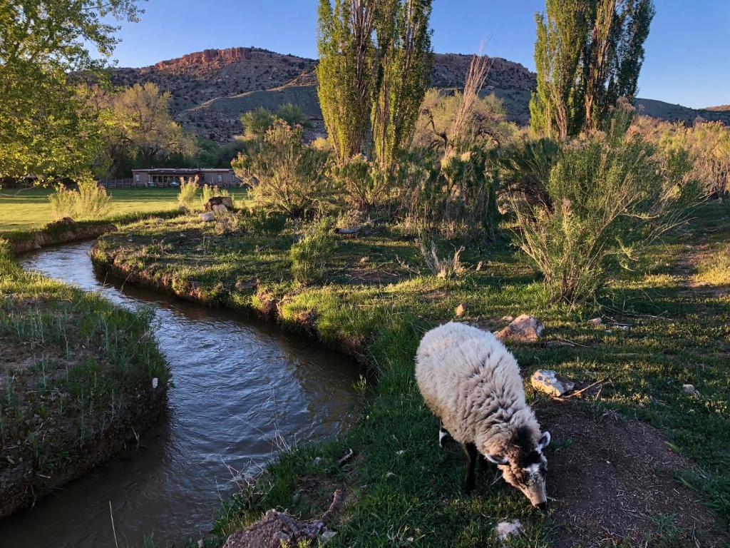 Canyon Of The Ancients Guest Ranch photo 3