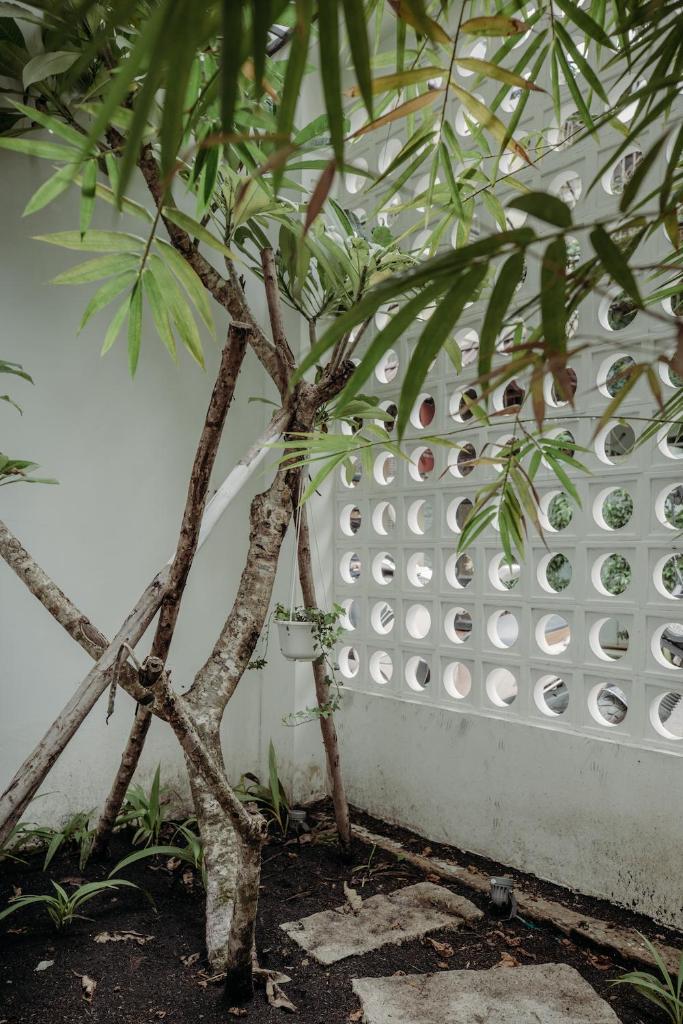 Botanist Lab Minihotel by CIRCADIAN
