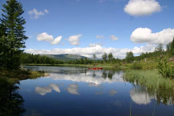 Bergfosshytta photo 2