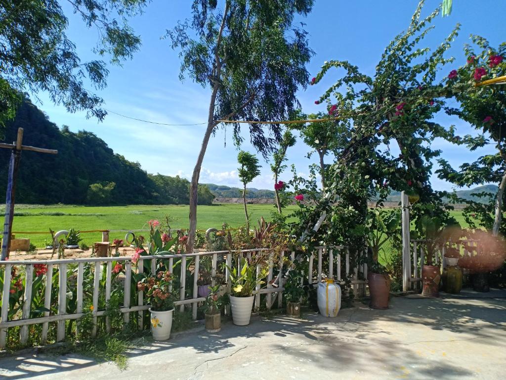 Phong Nha Rice Field Homestay