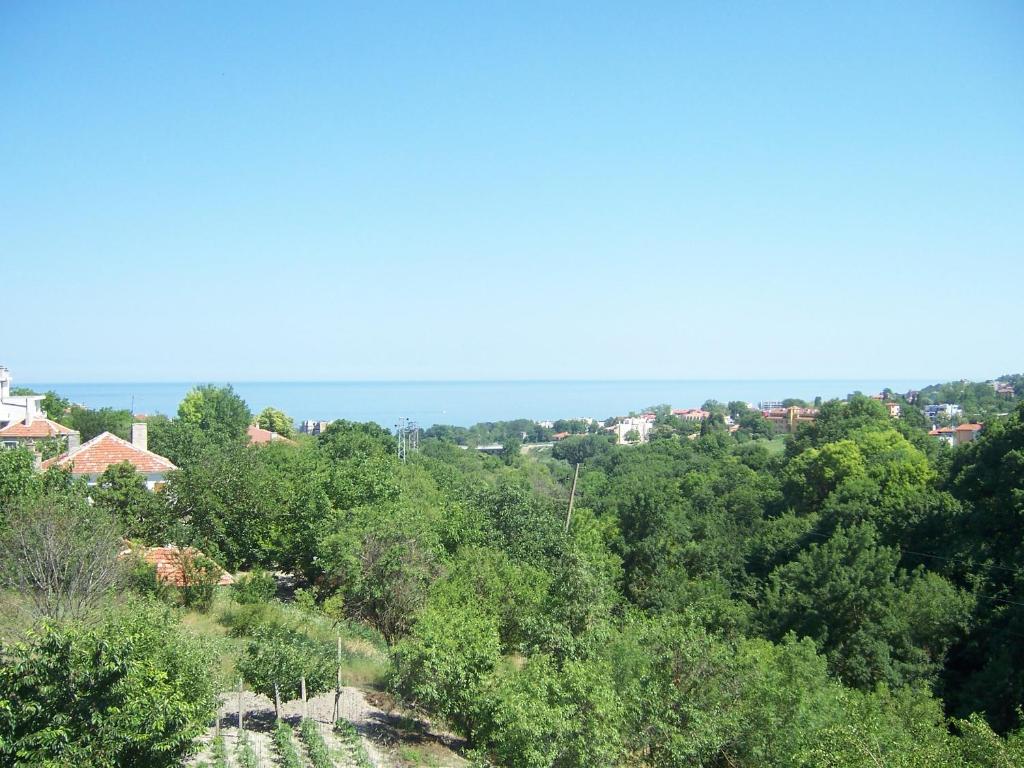 apartament Sea Star photo 4