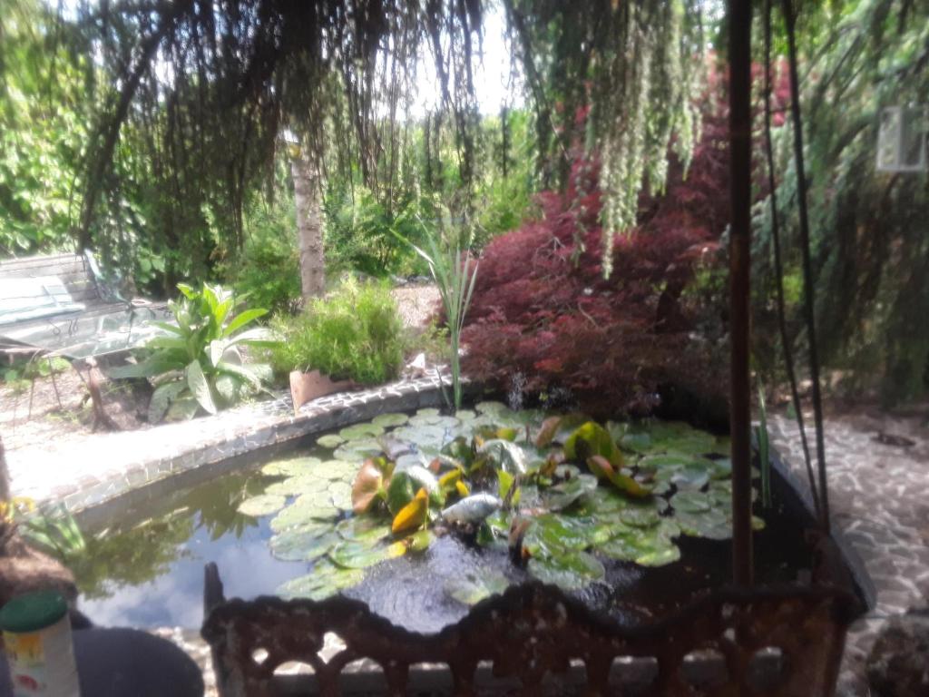 Touch of Spain in Rural France photo 4