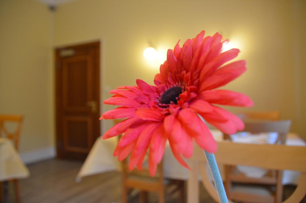 Hotel Villa Kisseleff photo 4