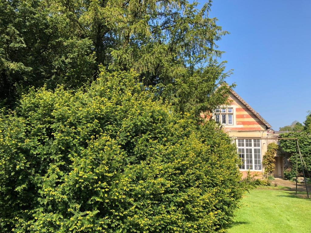 L'Orangerie photo 1