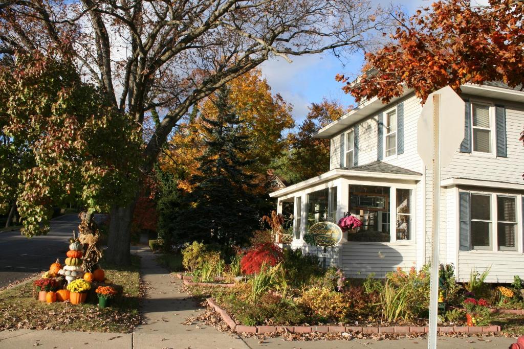 Serendipity Bed and Breakfast photo 1