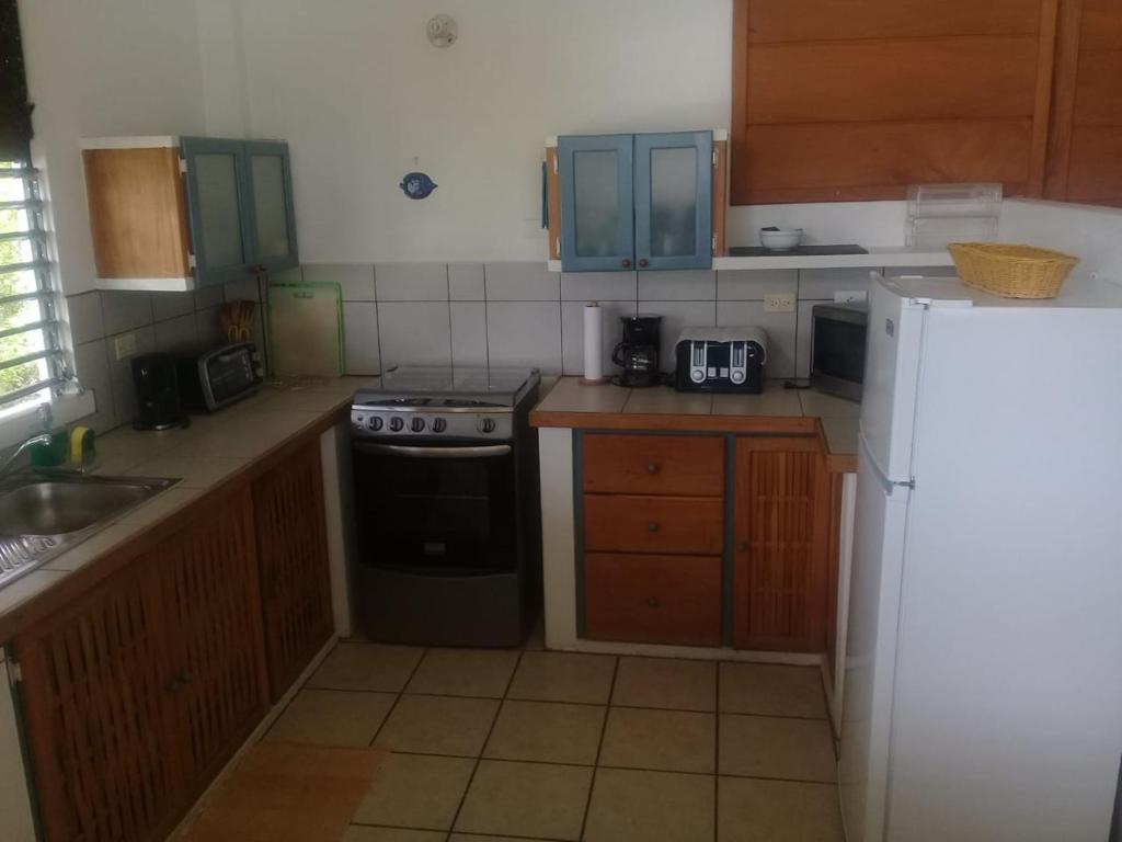 The Nest Tobago Apartments photo 4