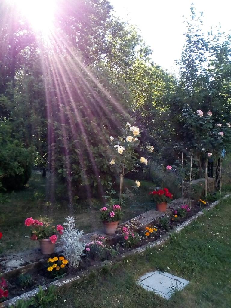 Casa vacanza Il Poggio photo 3