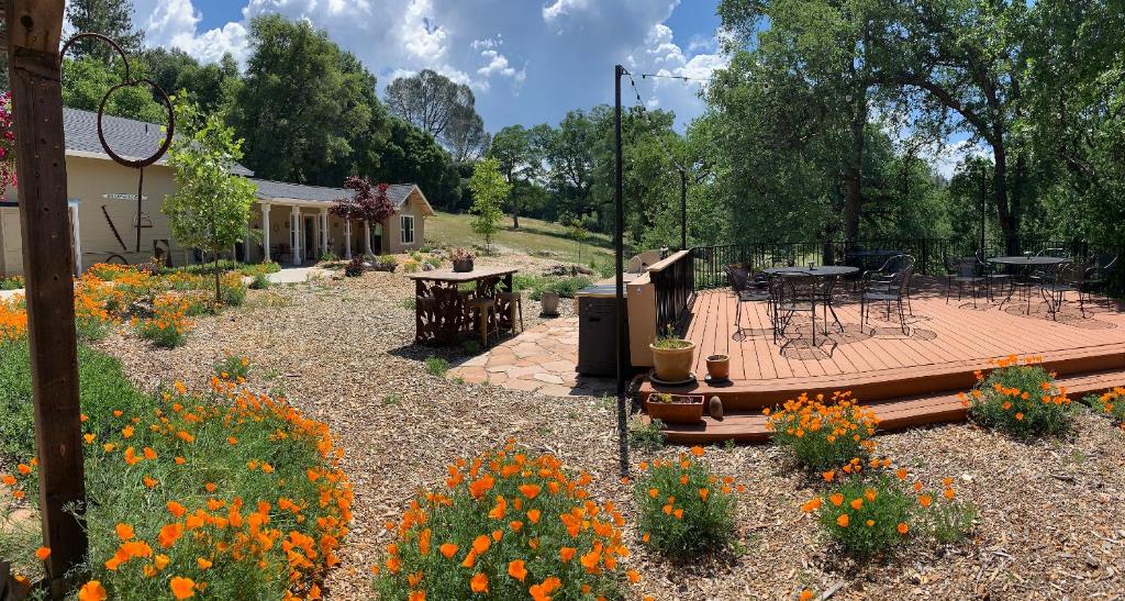 Red Tail Ranch photo 2