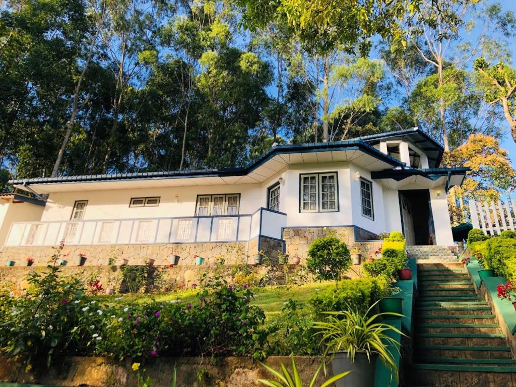 Windsor Forest bungalow photo 2