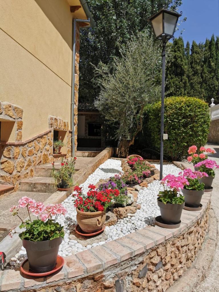 Casa Rural Ruiz Hernando photo 1