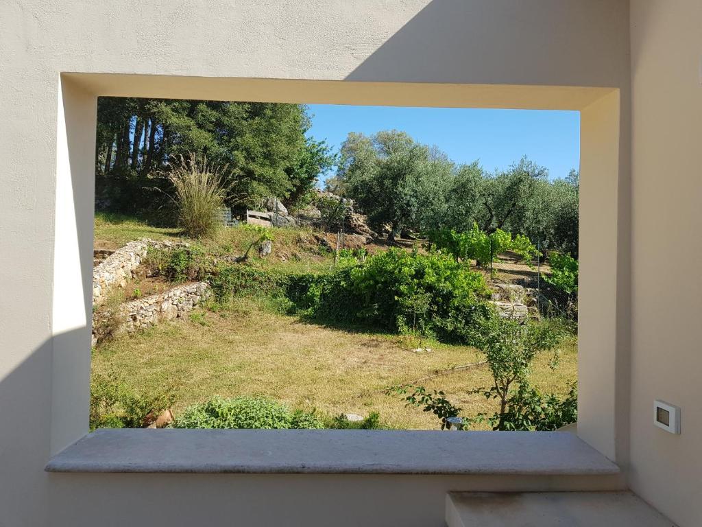 La Gazza photo 2