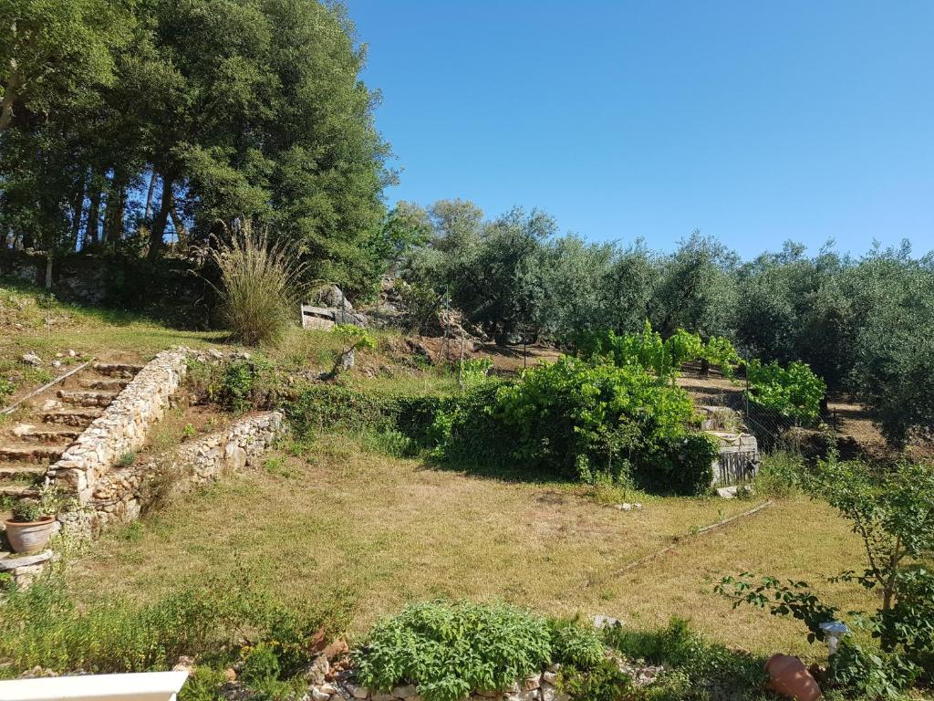 La Gazza photo 3