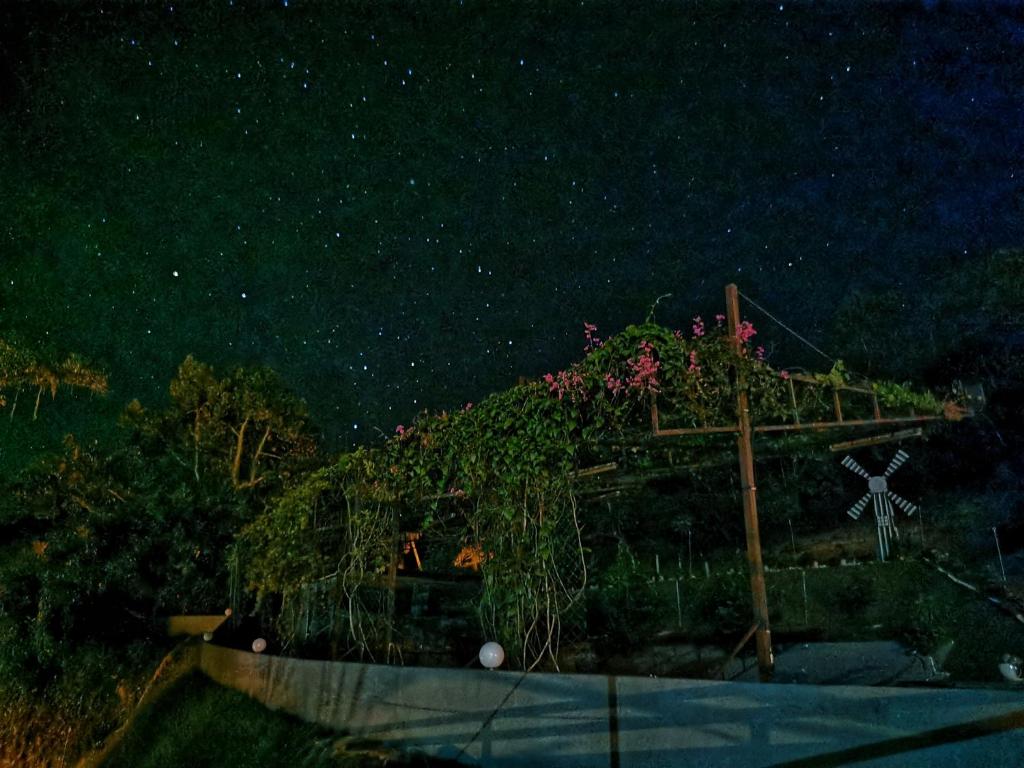 Green Peace Sungai Lembing photo 3
