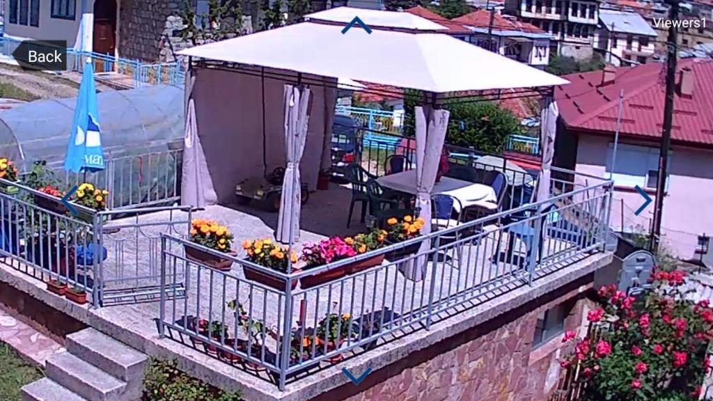 Villa Flora Guesthouse photo 2