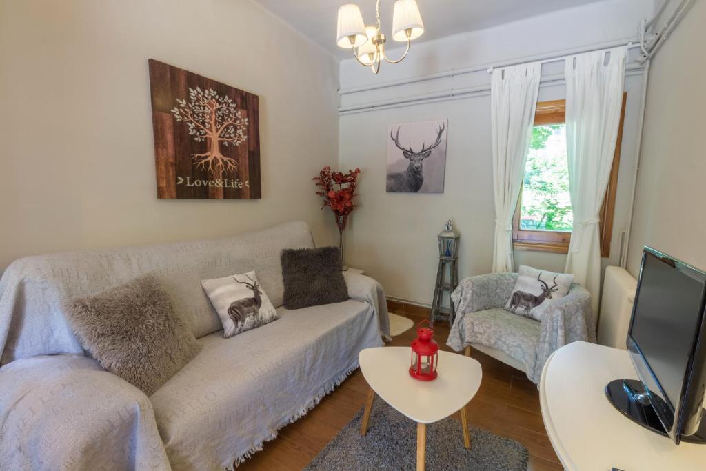 Апартаменты (Апартаменты с 1 спальней), Apartaments Alta Muntanya